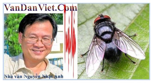 Con ruồi - Nguyễn Nhật Ánh