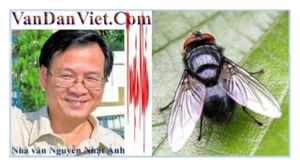Con ruồi - Nguyễn Nhật Ánh