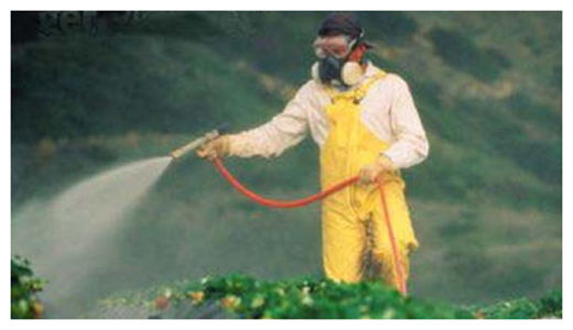 Spraying chemical on produce