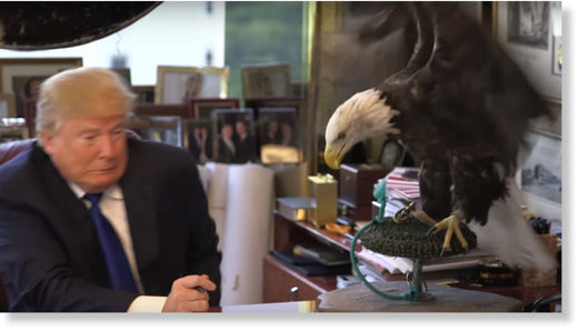 trump attacked eagle
