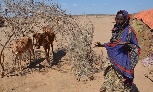 Ethiopia drought