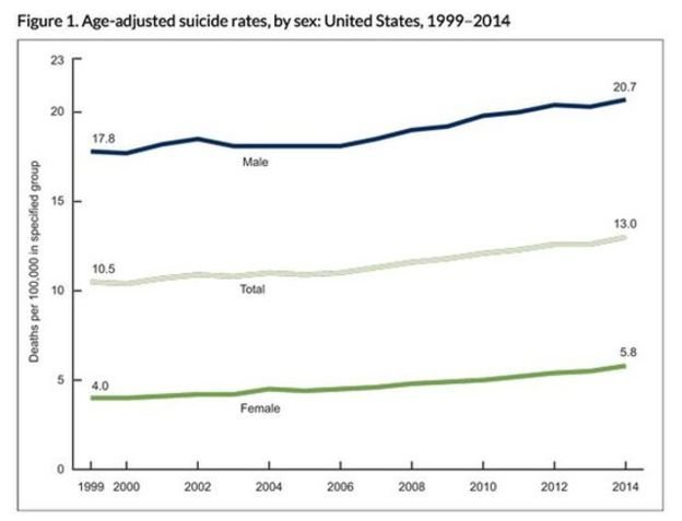 Suicide rate in the US