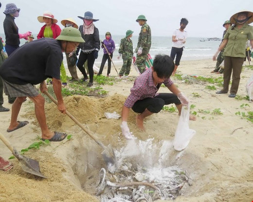 Mass fish kill in central Vietnam