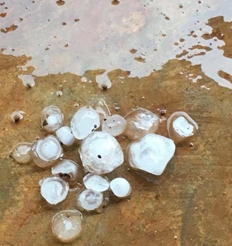 Hailstorm in Nghệ An, Vietnam