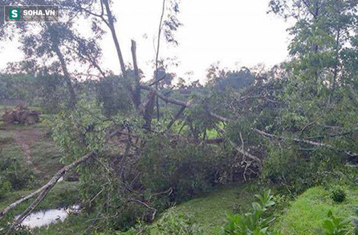 Storm damage in Hà Tĩnh, Vietnam