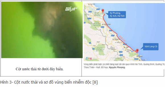 Disinformation in mass fish kill incident in Vietnam