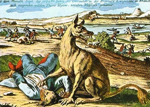 Quái thú ăn thịt người vùng Gévaudan: nỗi kinh hoàng của người dân Pháp thế kỷ 18