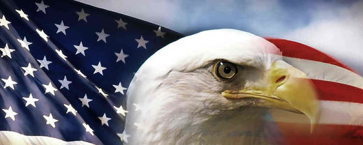 Bald eagle usa flag