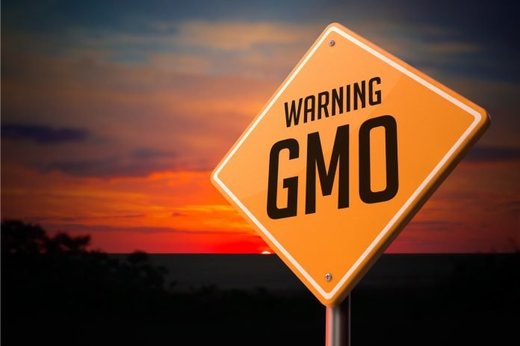 GMO debate
