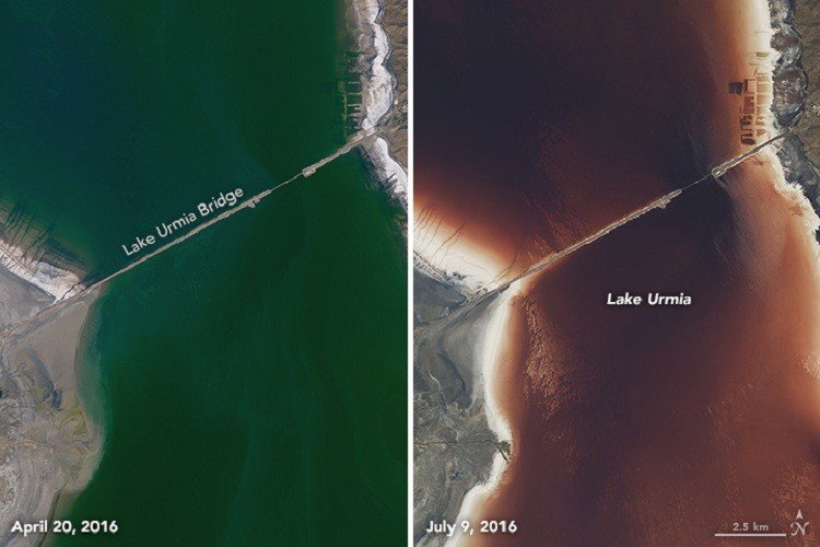 Lake Urmia turning red
