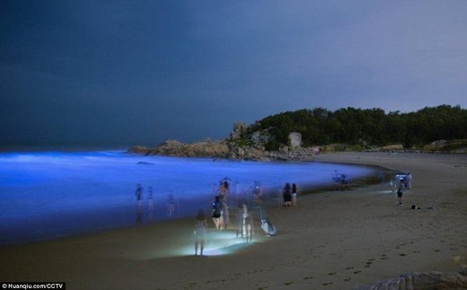 Xiangbi'ao beach blue light due to Noctiluca scintillans