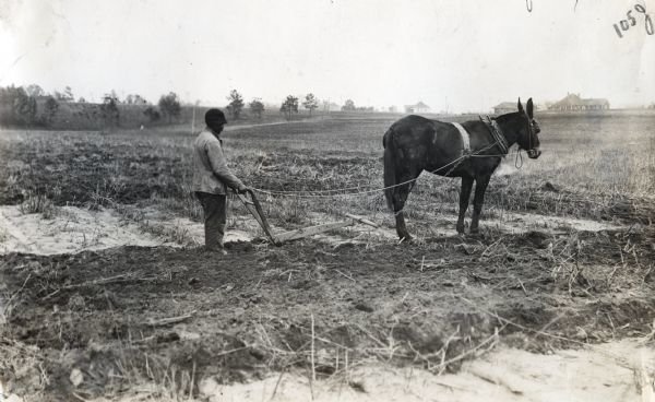 man with plow and mule toiling