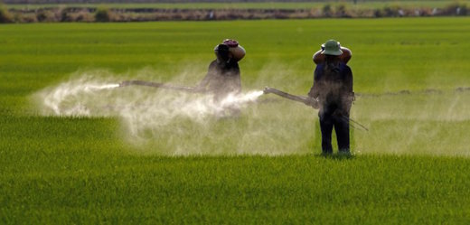 herbicide spraying