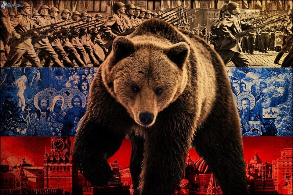 Russian bear Russia Moscow 