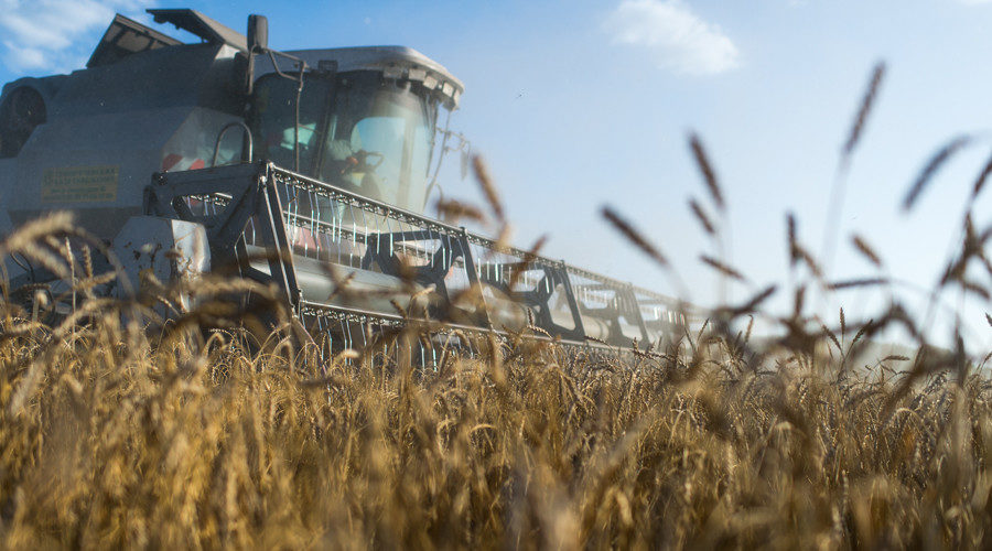 Russia wheat export