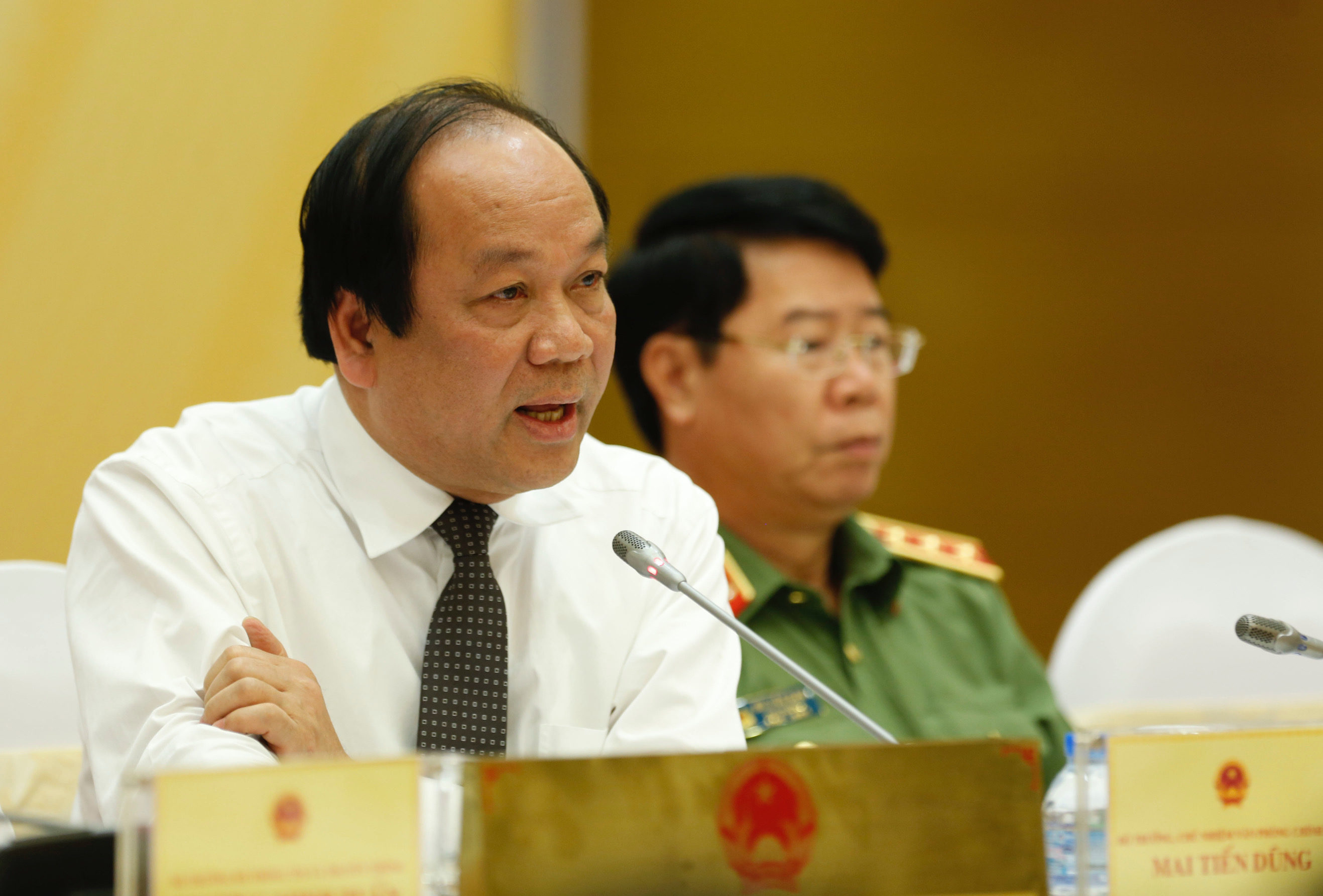 Mai Tiến Dũng, Vietnam government spokesman
