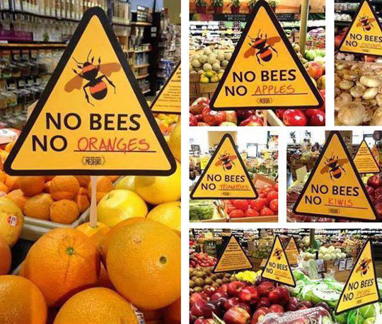 No bee no food