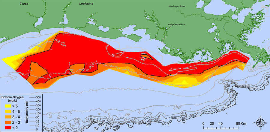 The Gulf Of Mexico's dead zone