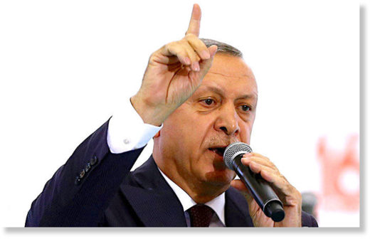 Erdogan finger