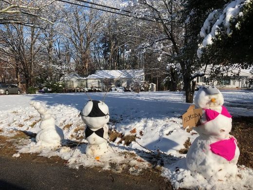 Nhấn để phóng to Snow, Florida