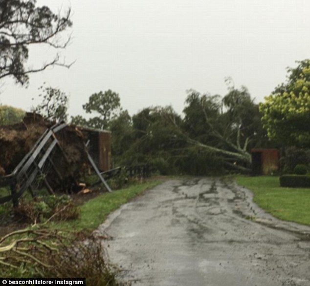 Fences were destroyed and trees pulled to the ground by the ex-cyclone on Tuesday