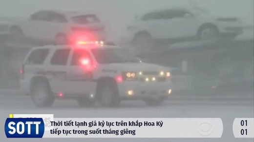 Sott summary vietnamese 1/2018