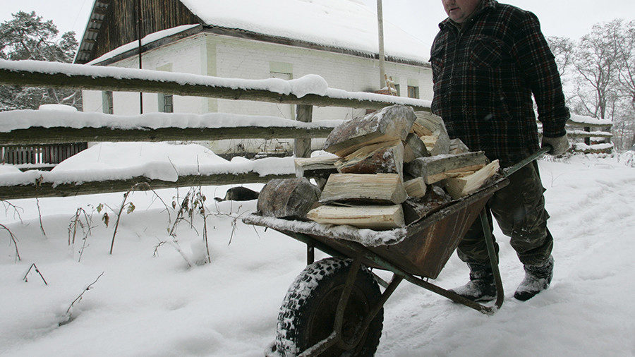man wheelbarrow firewood
