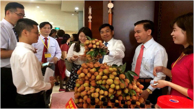 Marketing Vietnamese lychee in China