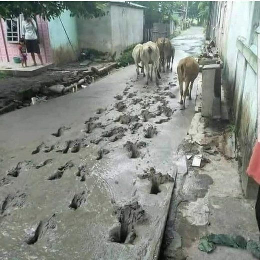 Nhấn để phóng to Civil engineering