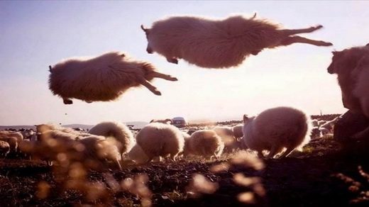 Quantum jumps