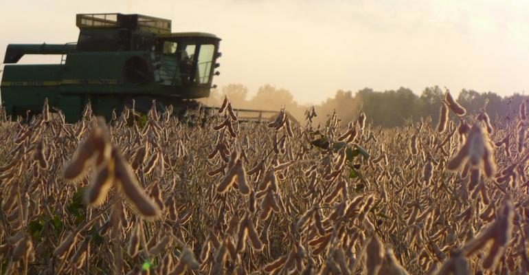 Soy harvest