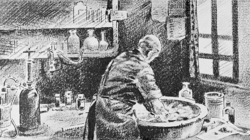 Semmelweis - hand washing