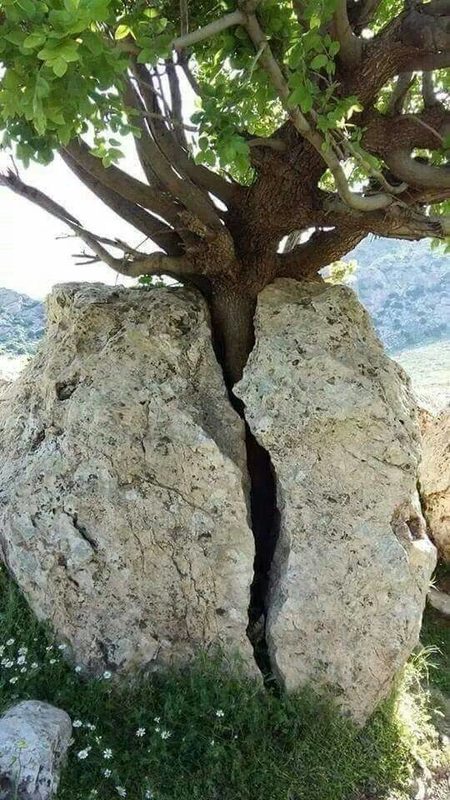 Life power