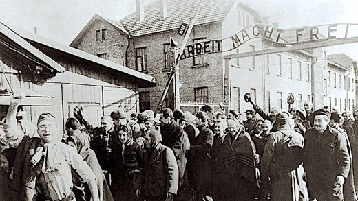 Nhấn để phóng to Survivors Auschwitz