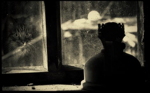 Nhấn để phóng to Face