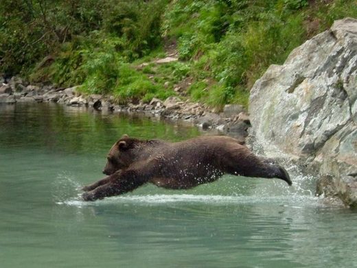 Nhấn để phóng to Swimming is good for you