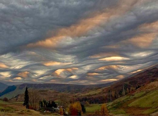 Nhấn để phóng to Asperatus