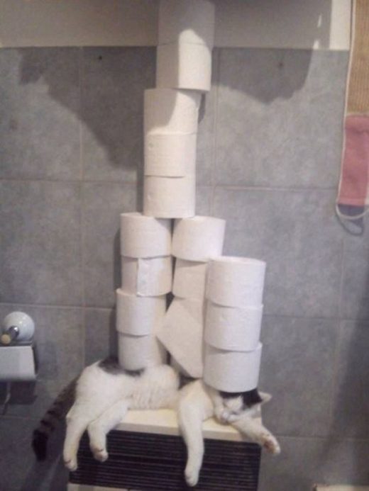 Heavy load of responsibility