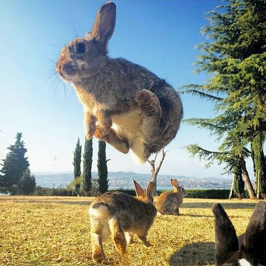 Nhấn để phóng to Quantum jumps