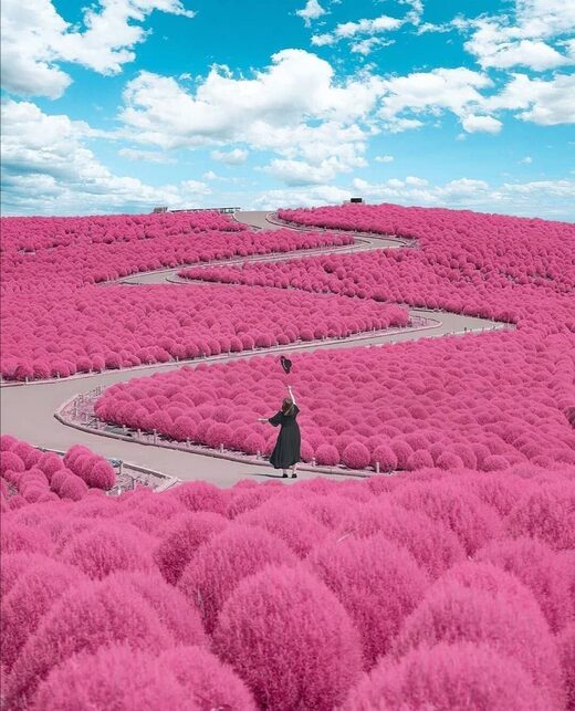 Nhấn để phóng to What color is it?
