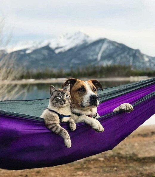 Nhấn để phóng to Friends forever