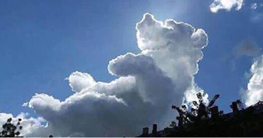 Nhấn để phóng to Winnie-the-Pooh