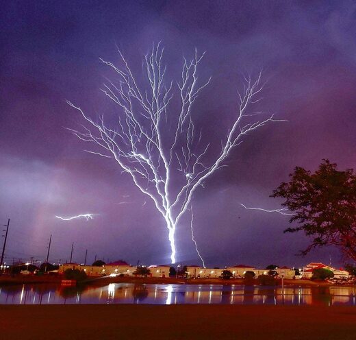 Nhấn để phóng to Tree of Light
