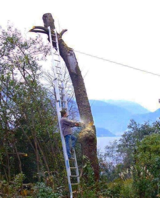 Nhấn để phóng to All calculated!